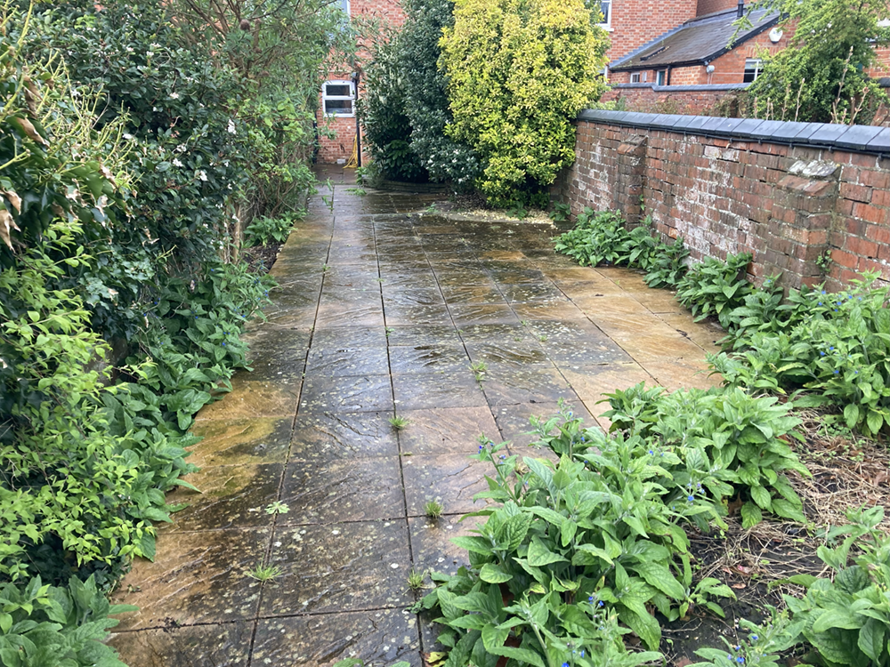 IMG_ - Professional Pressure Washing Restoration